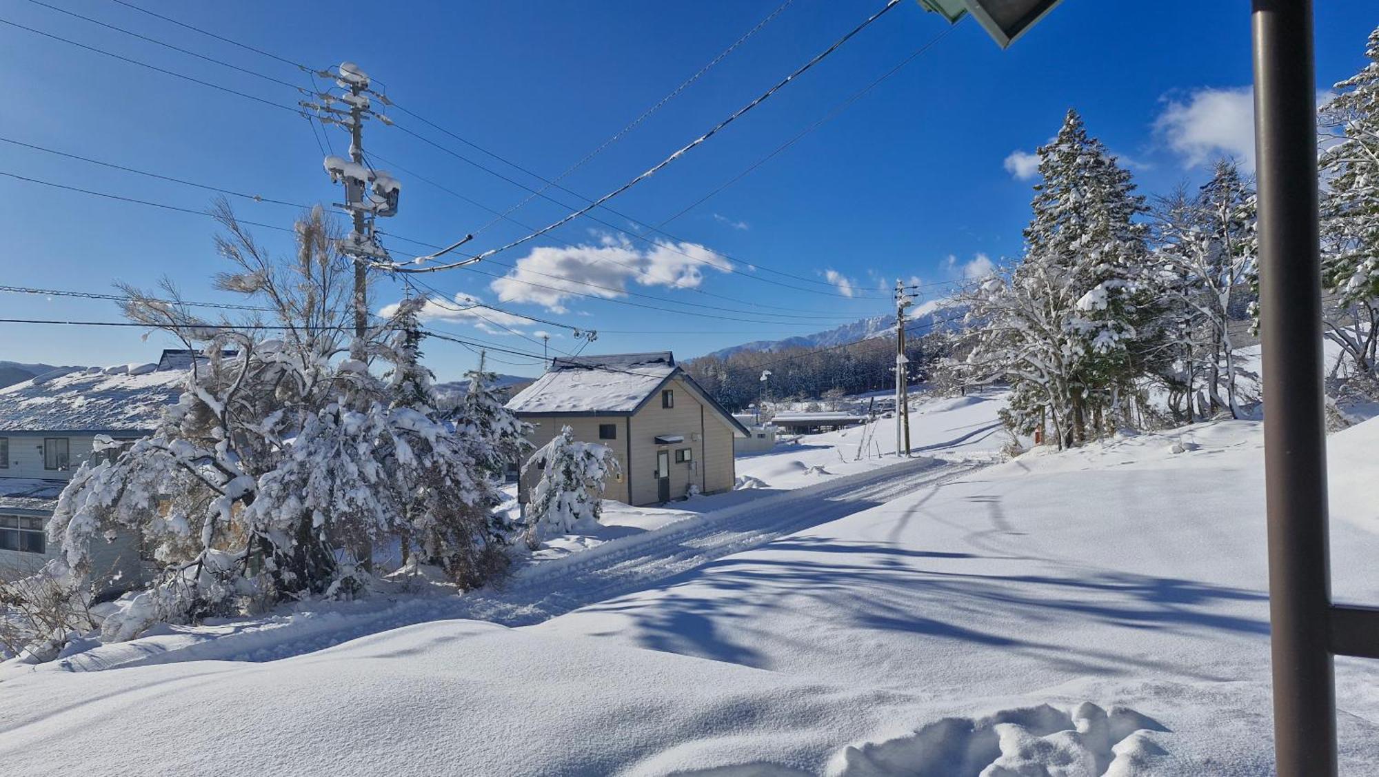Kodama Lodge Otari Dış mekan fotoğraf