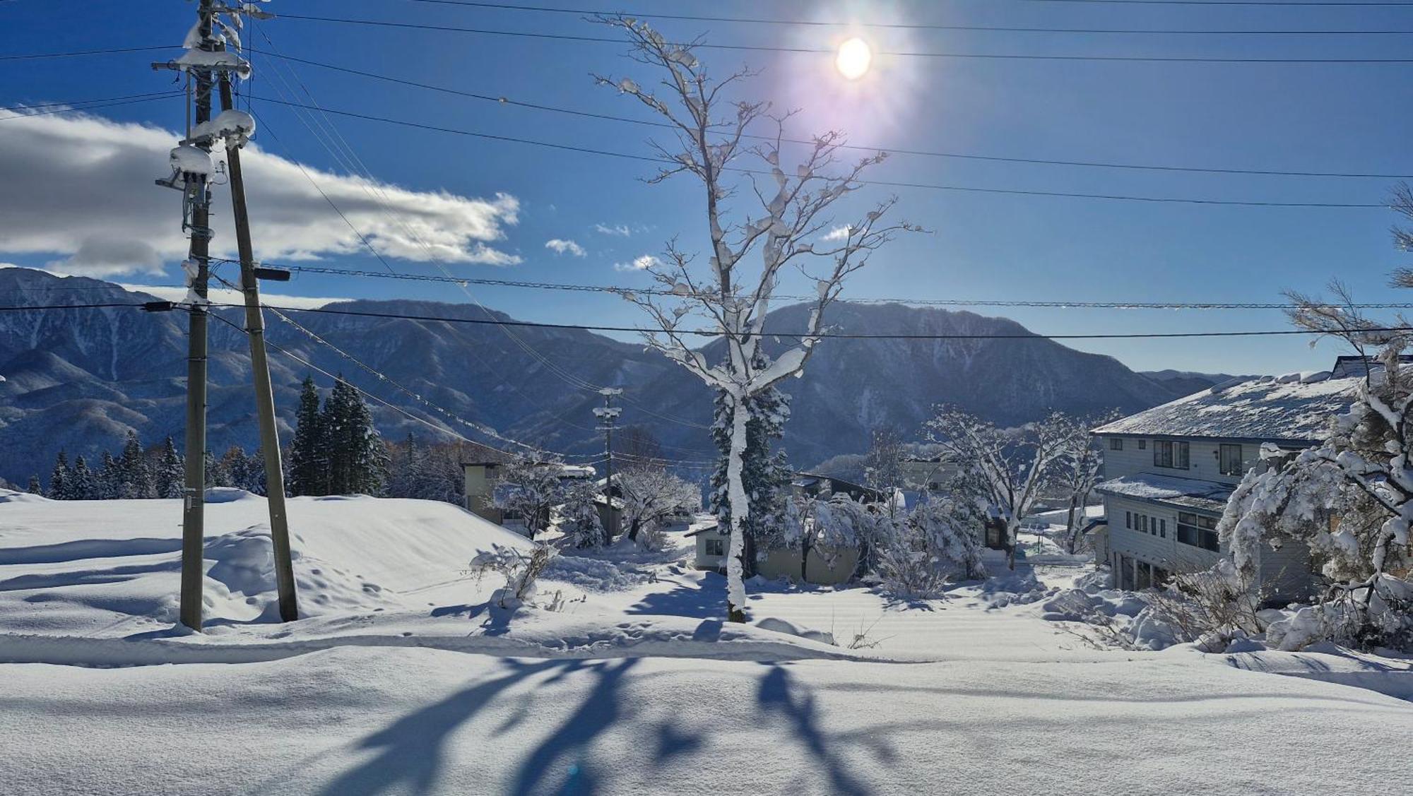 Kodama Lodge Otari Dış mekan fotoğraf